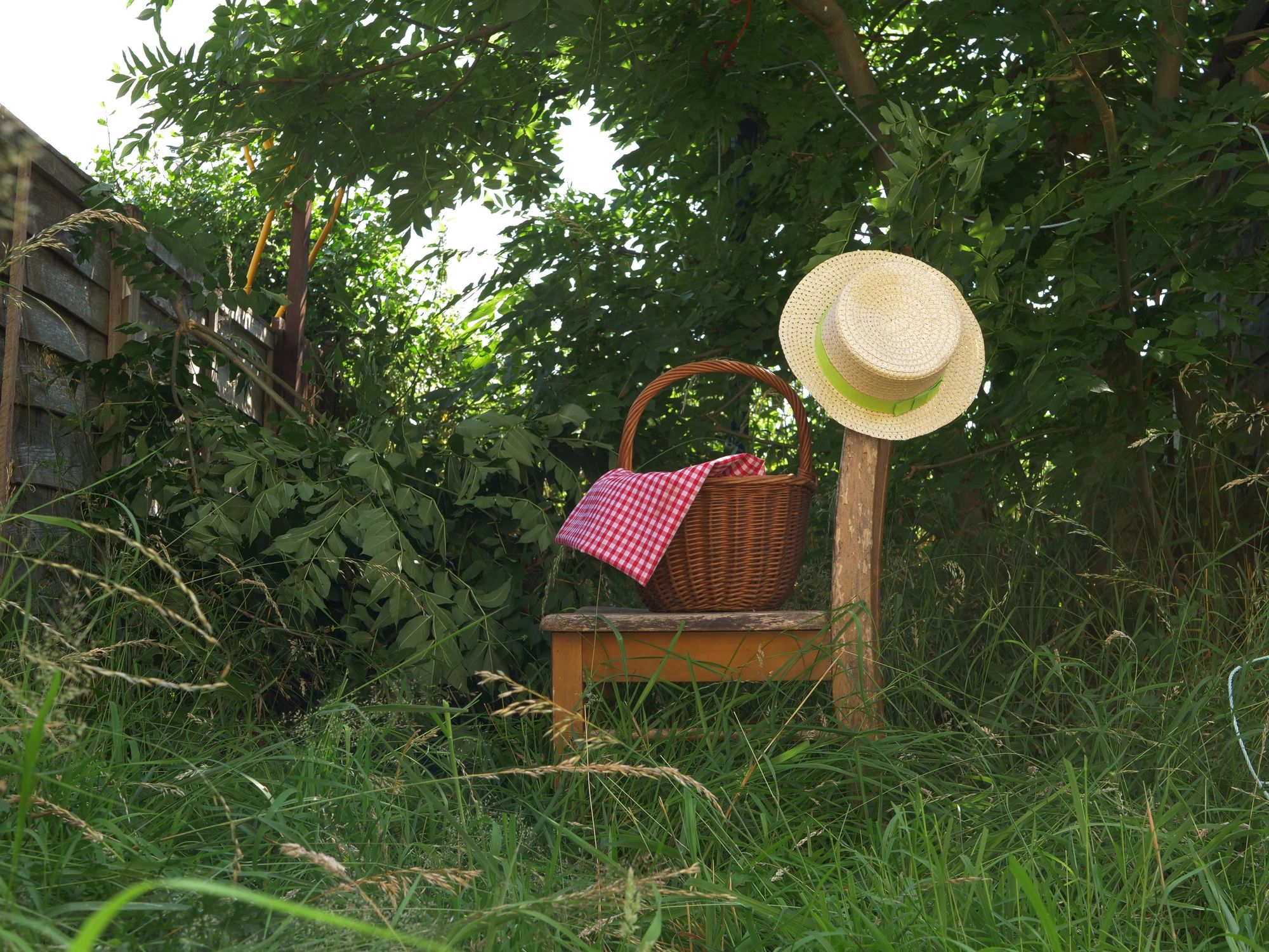 Harvest basket in a peaceful garden setting